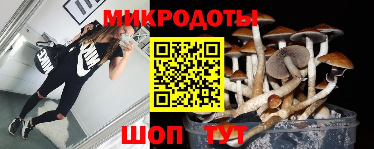 Подольск  Псилоцибиновые грибы Magic Shrooms  Галлюциногенные грибы прущие грибы  Вход с VPN 