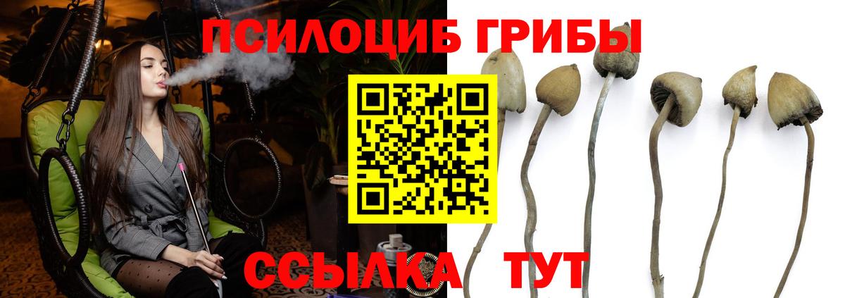 Псилоцибиновые грибы мухоморы Подольск